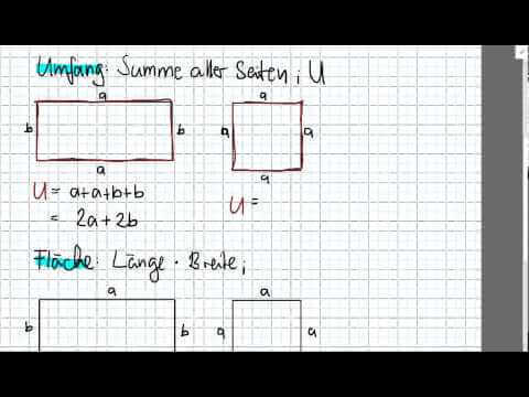 Quadrat: Fläche & Umfang berechnen - Formeln, Beispiele & Video